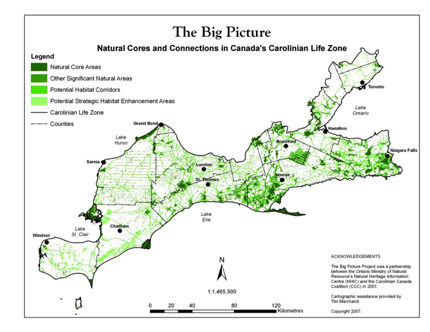 Big Picture Habitats