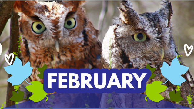 February