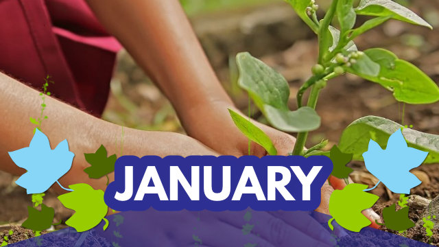 January