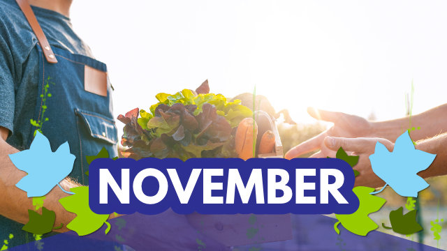 November