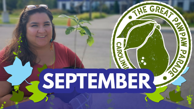 September