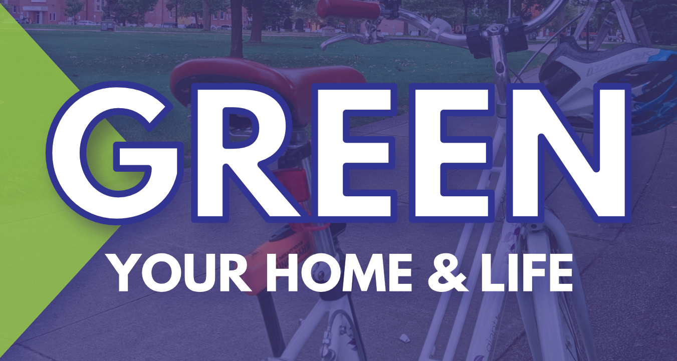 green your life and home