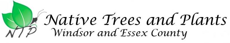 Native Trees and Plants