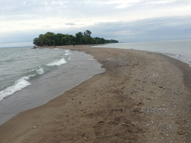 GWTA - Point Pelee National Park GWTA - Point Pelee National Park