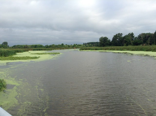 GWTA - Hillman Marsh GWTA - Hillman Marsh