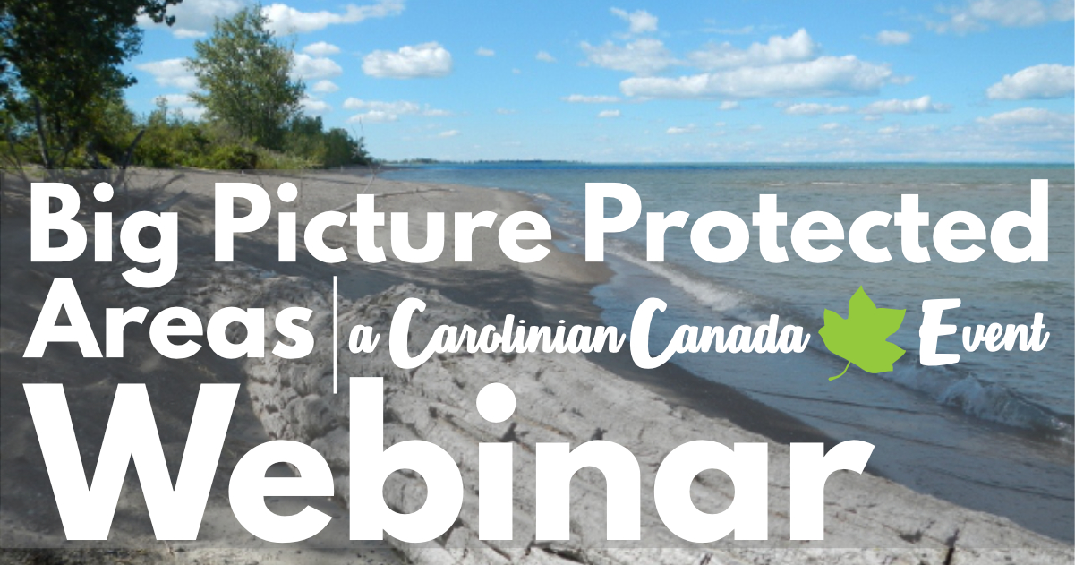 Big Picture Protected Areas Webinar: Join the Discussion