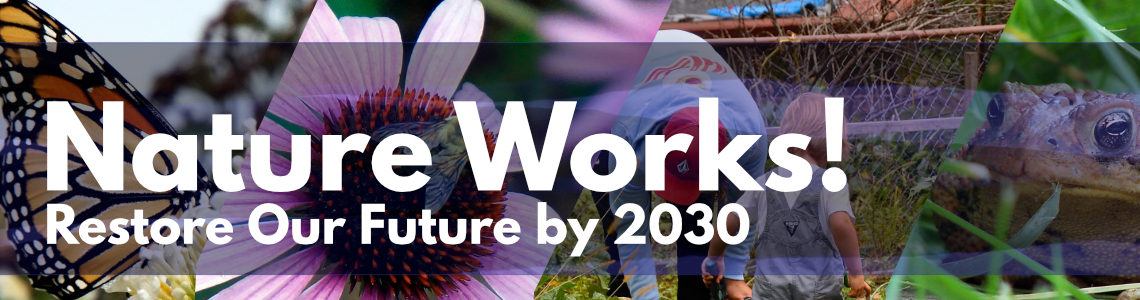 Nature Works! Restore Our Future by 2030
