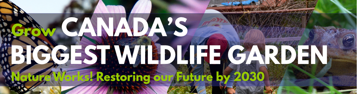 Nature Works! Restoring Our Future by 2030