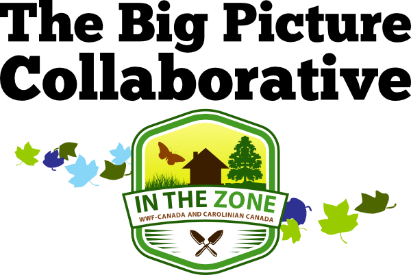 The Big Picture Collaborative In the Zone with WWF Canada and Carolinian Canada Coalition
