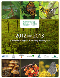 Annual Report 2012-2013