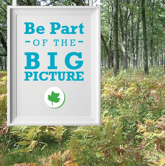 Be Part of the Big Picture