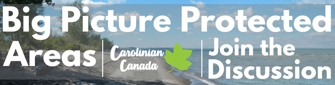 Big Picture Protected Areas: Join the Discussion