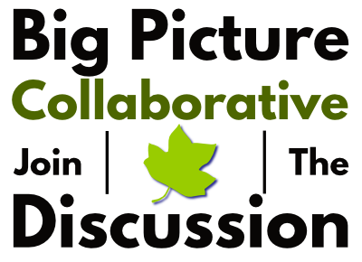Big Picture Collaborative: Join the Discussion