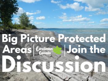 Big Picture Protected Areas