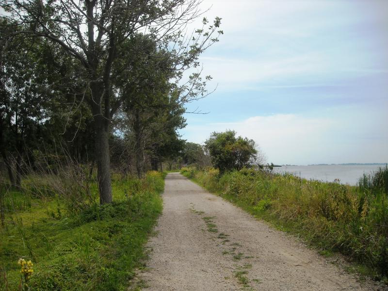Rondeau Provincial Park - Jen van Overbeeke
