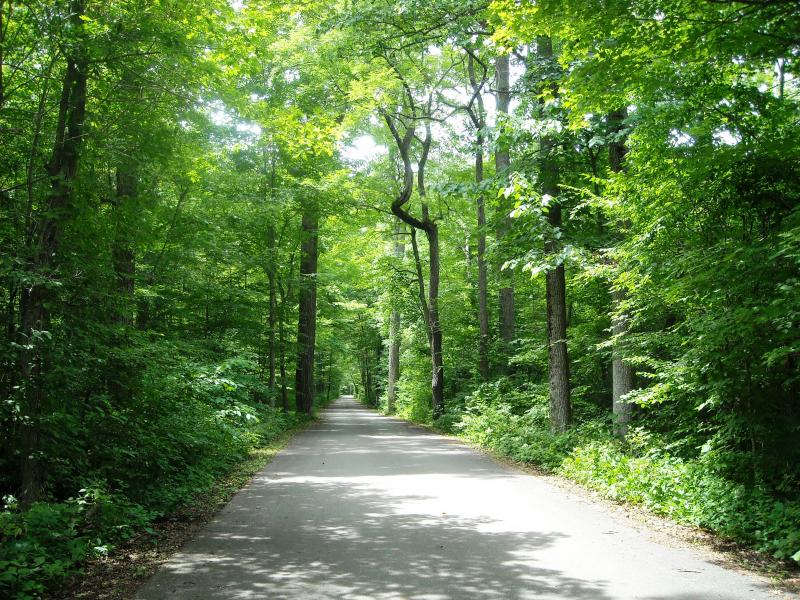 Rondeau Provincial Park - Jen van Overbeeke