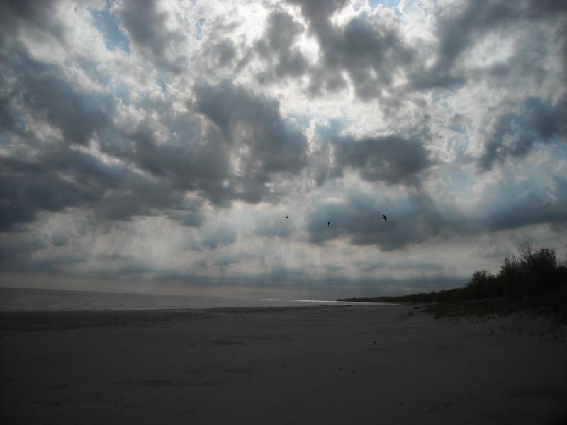 Long Point Provincial Park - Jen van Overbeeke