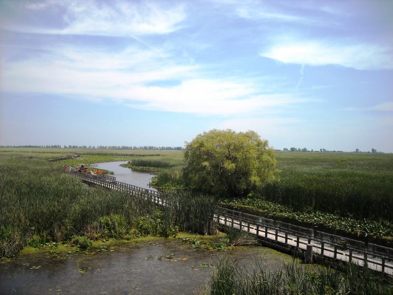 Point Pelee National Park - Jen van Overbeeke