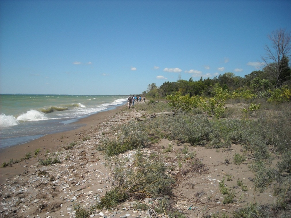 Point Pelee National Park - Jen van Overbeeke