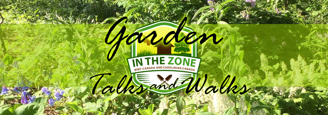 In The Zone Garden Talks and Walks