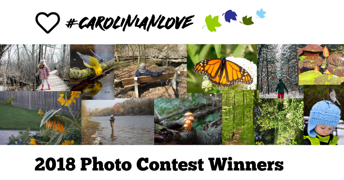 carolinian love 2018 photo contest winners