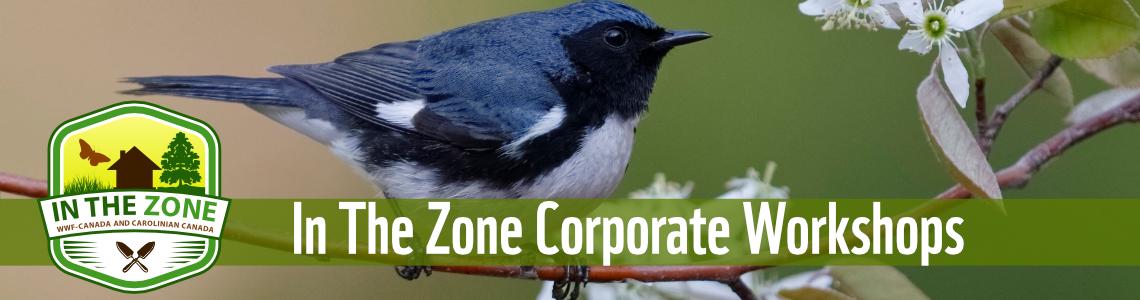 In The Zone Garden Talks and Walks