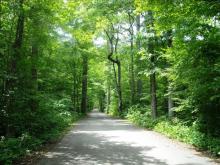 Rondeau Provincial Park