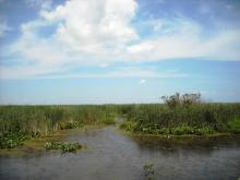 Point Pelee National Park - Jen van Overbeeke