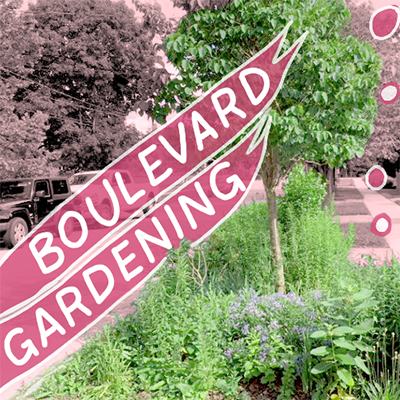 Boulevard Gardening teaser image - lush streetside garden with pink and white text reading 'Boulevard Gardens'