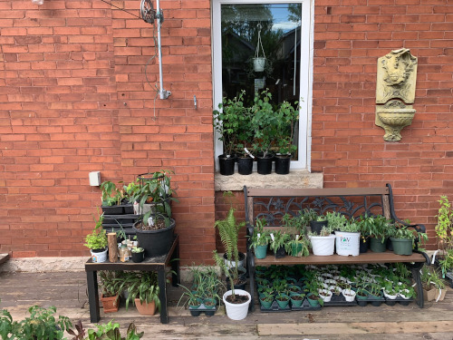 Community Planting Grants